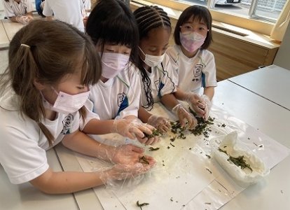 「製茶」の体験