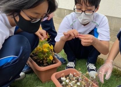 花のお手入れ