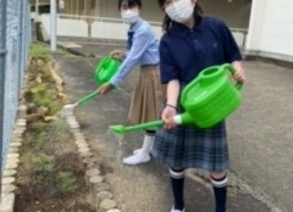 体育館前の花壇は中学2年生環境部の担当です。