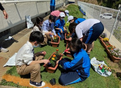 芽が出るの楽しみ！