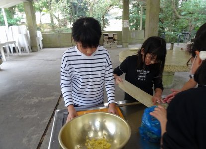 DSC07054