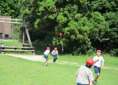 IMG_0461