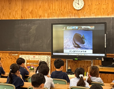 海とさかなのオンライン授業「幼魚の生き様」