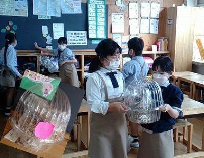 小3　しいたけの栽培