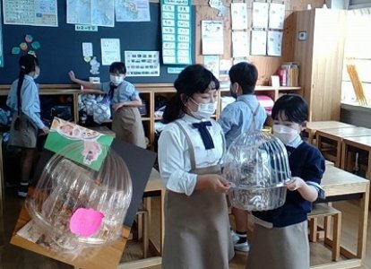 小3　しいたけの栽培