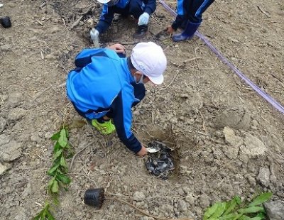 小3『九州・山口　未来の森』植樹祭に参加しました。