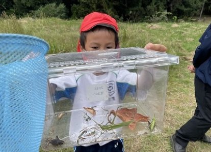 小2生活科「生き物探しをしよう」