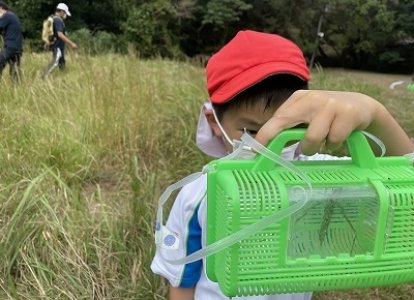 小2生活科「生き物探しをしよう」
