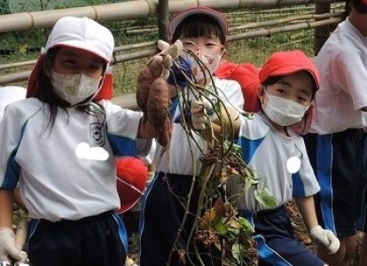 小1小2生活科「芋ほりをしよう」