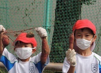 小1小2生活科「芋ほりをしよう」