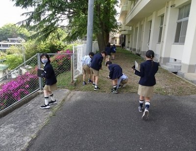 小学3年生で学校の自然観察を行いました。