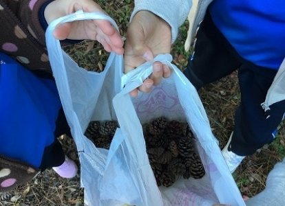 青少年の天地で秋さがしを行いました。