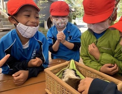 森きららに行ってきました！（小学校1年生）