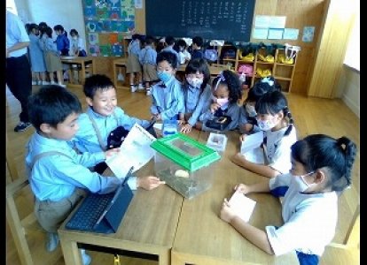 先日捕まえた生き物を紹介しました。