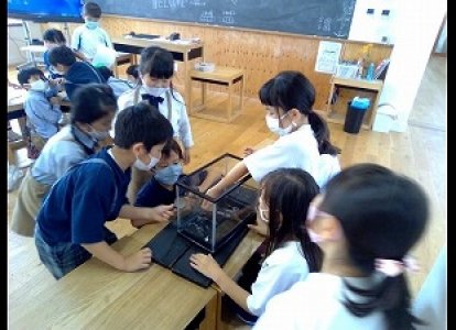 １年生も見たり触ったりして生き物への興味を高めていました。