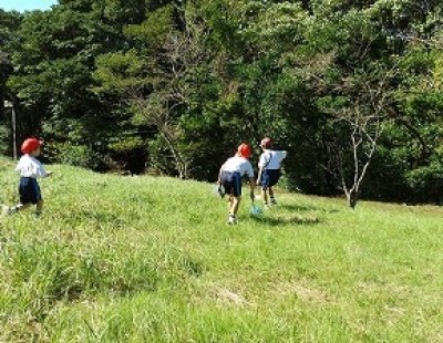 秋の生き物探し！