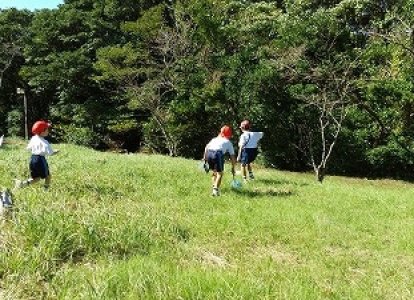 秋の生き物探し！