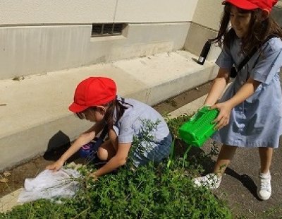 秋の生きもの見つけたよ！