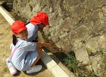秋の生きもの見つけたよ！