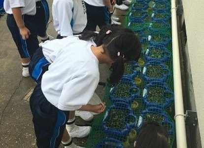 子どもたちはとても喜んでいました。