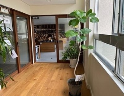 セミが羽化しました！