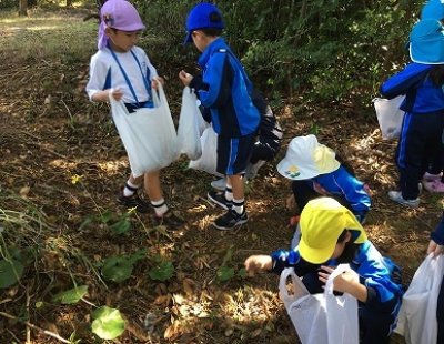 小学校では10月７日（木）に青少年の天地で秋探しを行いました。