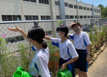 かわいい