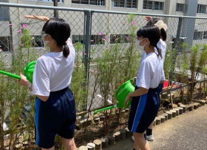 1学期