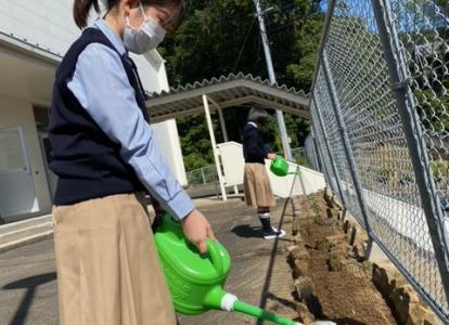 2学期水やり