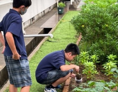 Ｇ７探求学習で佐世保工業高等専門学校との第3回共同活動を行いました。